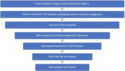Operator decision-making in angiography-only guided revascularization for lesions not indicated for FFR: a QFR-based functional assessment in chronic coronary syndrome